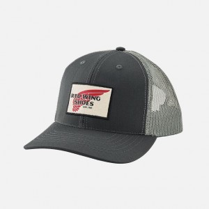 Red Wing Embroidered Logo Ball Hoeden | EUQS-12497