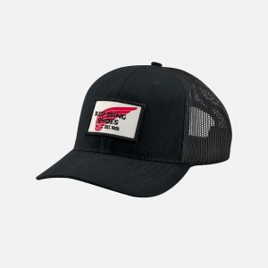 Red Wing Embroidered Logo Ball Hoeden | MCWI-58679