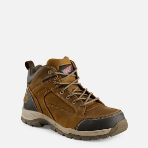 Red Wing TruHiker Werklaarzen Heren | DPZL-89605