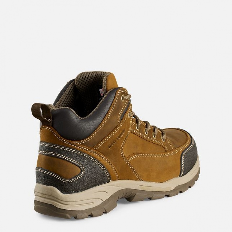 Red Wing TruHiker Werklaarzen Heren | DPZL-89605