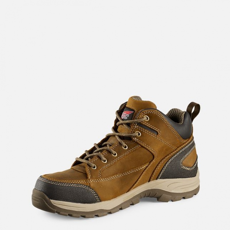 Red Wing TruHiker Werklaarzen Heren | DPZL-89605