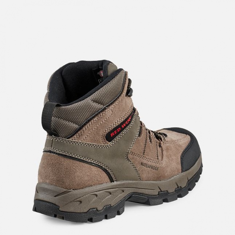 Red Wing TruHiker Werklaarzen Heren | EDFY-45687