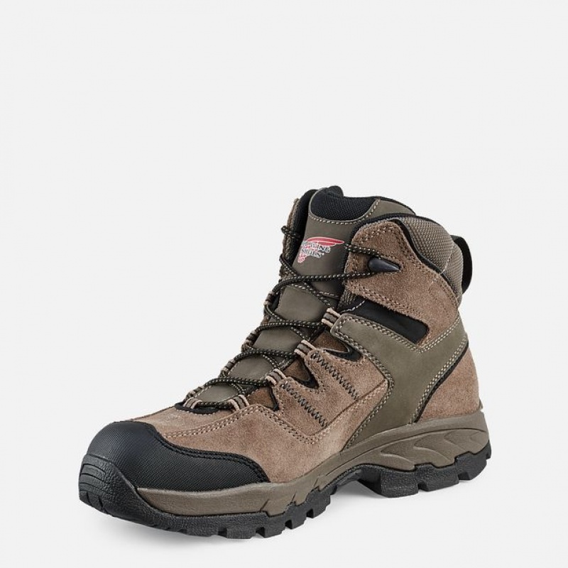 Red Wing TruHiker Werklaarzen Heren | EDFY-45687